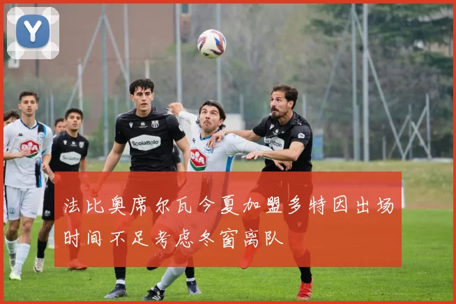 法比奥席尔瓦今夏加盟多特因出场时间不足考虑冬窗离队