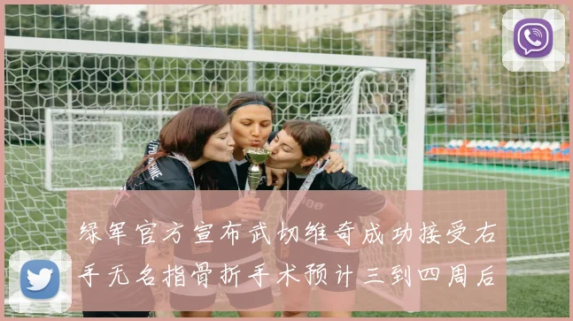 绿军官方宣布武切维奇成功接受右手无名指骨折手术预计三到四周后复查