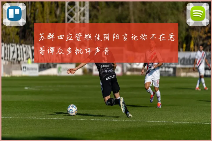苏群回应管维佳阴阳言论称不在意哥谭众多批评声音