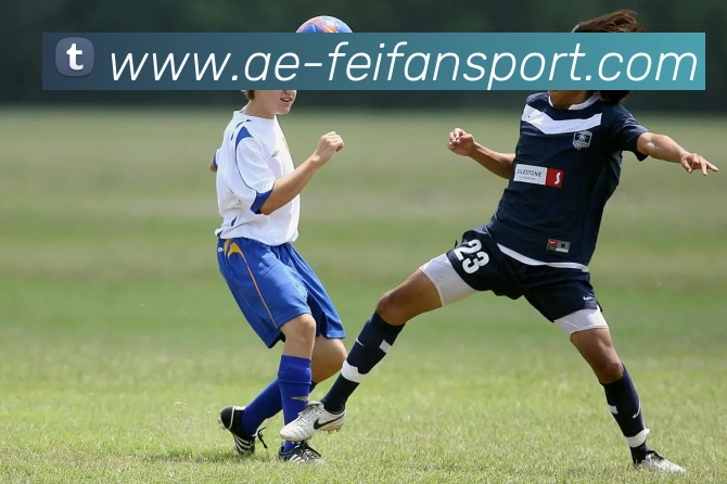 非凡体育APP 封面图